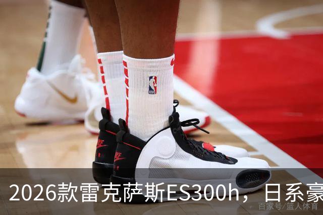 2026款雷克萨斯ES300h，日系豪华混动标杆，主打省心从容